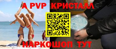 крисы Шебекино
