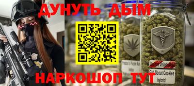 крисы Шебекино