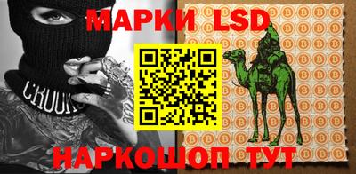 крисы Шебекино