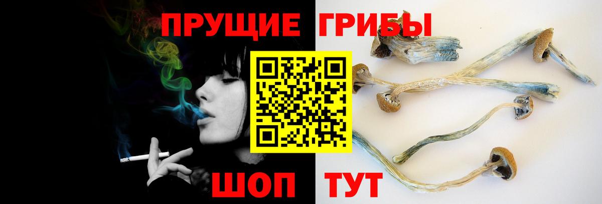 Рубцовск  Галлюциногенные грибы мицелий  Вход с VPN 